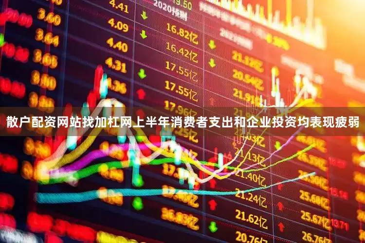 散户配资网站找加杠网上半年消费者支出和企业投资均表现疲弱
