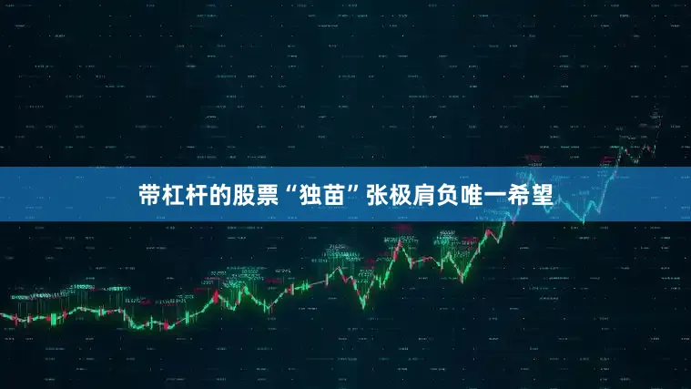 带杠杆的股票“独苗”张极肩负唯一希望